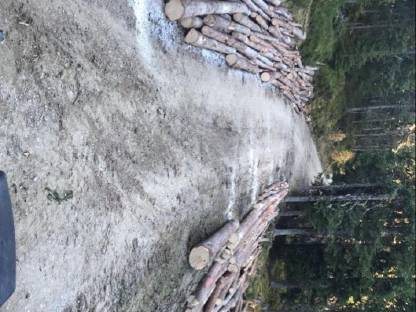 Bild 7:Biete Holzschlägerung und Bringung an