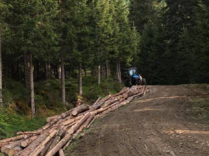 Bild 4:Biete Holzschlägerung und Bringung an