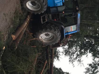 Bild 6:Biete Holzschlägerung und Bringung an