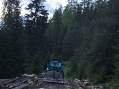 Bild 3:Biete Holzschlägerung und Bringung an