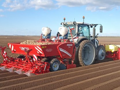 Bild 2:Kartoffellegen XXL 2025