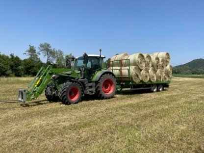 Bild 5:Grünlandflächen