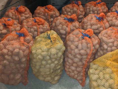 Speisekartoffel Agria