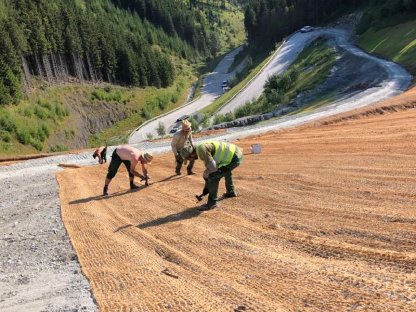 Bild 5:Begrünung, Rekultivierung, Weidenschnitt, Aufforstung