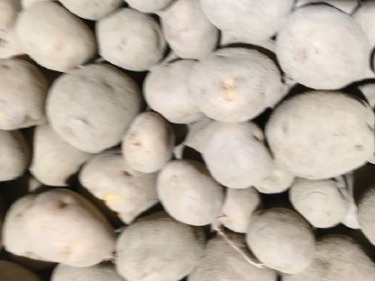 Bild 2:Bio Buchweizen Hirse Einkorn Nackthafer Dinkel Kartoffel