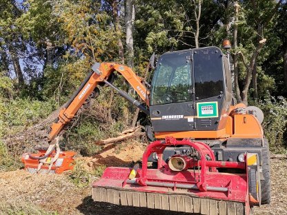 Bild 4:Begrünung, Rekultivierung, Weidenschnitt, Aufforstung