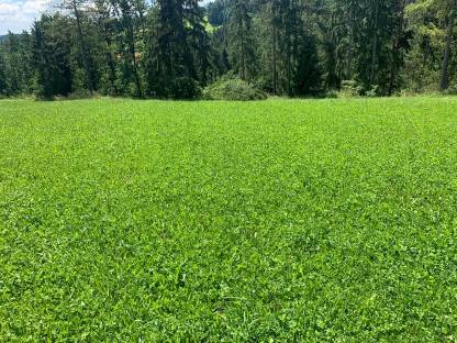 Bild 4:Grünlanderneuerung & Rekultivierung