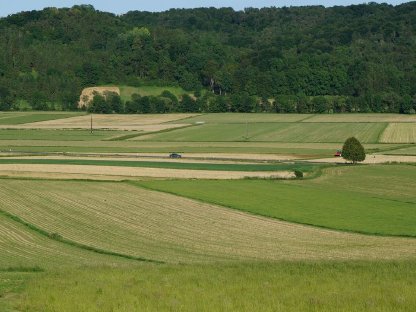 Bild 3:Grünlandflächen