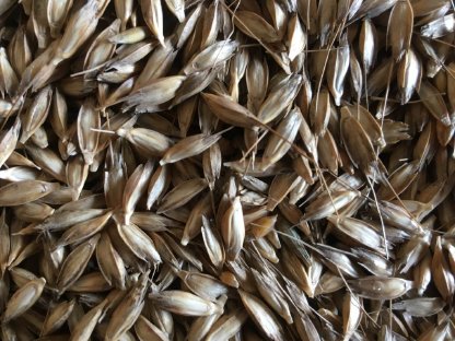 Bild 5:Bio Buchweizen Hirse Einkorn Nackthafer Dinkel Kartoffel