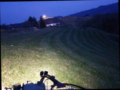 Bild 3:Wieseneggen und Nachsaat mit Motormäher