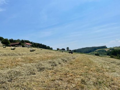 Bild 8:Grünlandflächen