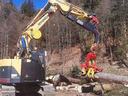 Bild 5:Preduschnigg Anton