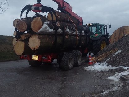 Bild 3:Holzschlägerung