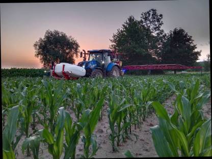 Bild 4:Pflanzenschutz