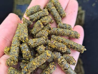 Futterpellets