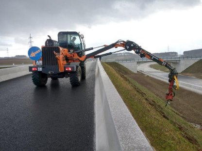 Bild 2:Begrünung, Rekultivierung, Weidenschnitt, Aufforstung