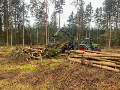 Bild 3:Biete Rückewagenarbeiten
