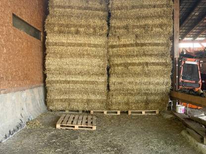 Bild 5:Biete Ballenpressen/Ballenwickeln an