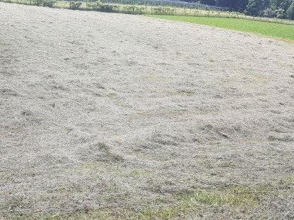 Bild 2:Heukleinballen