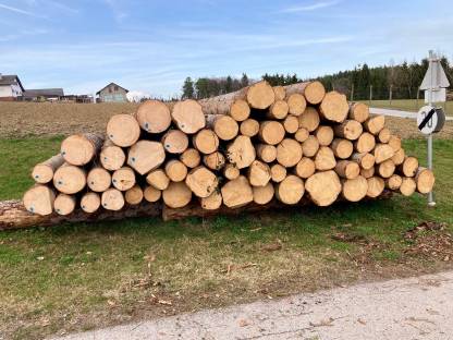 Bild 2:Biete Forstarbeiten