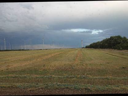 Bild 4:Schwaden mit Honeybee ST21