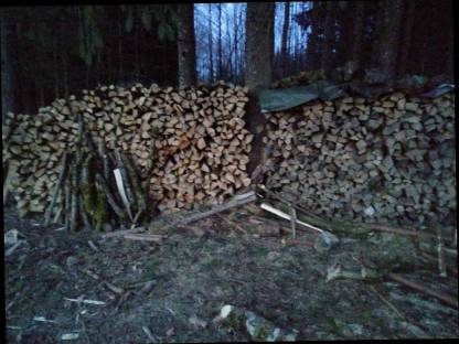 Brennholz 33cm/50cm bzw nach Wunsch