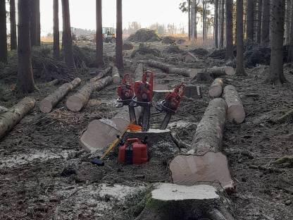 Bild 3:Holzschlägerung und Bringung