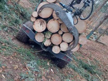 Bild 4:Holzschlägerungsarbeiten