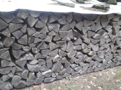 Bild 2:Brennholz