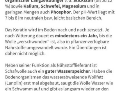 Bild 4:Schafwolle unbehandelt