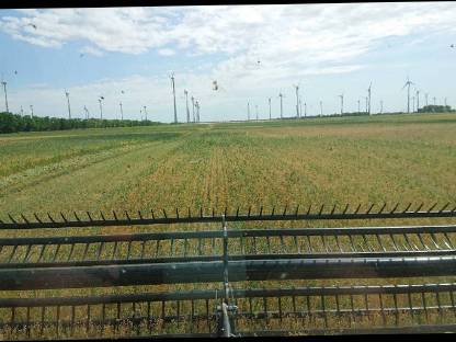 Bild 3:Schwaden mit Honeybee ST21