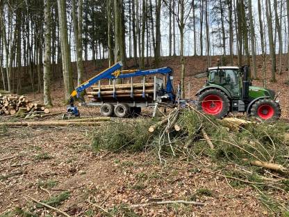 Bild 7:Biete Rückewagenarbeiten