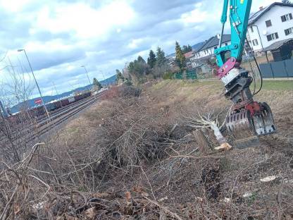 Bild 9:Holzschlägerungsarbeiten