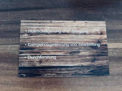 Biete Holzschlägerung und Bringung