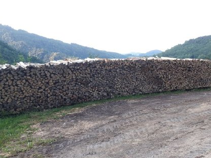 Brennholz - Scheitholz 1 m lang