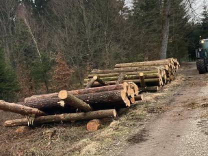 Bild 5:Biete Rückewagenarbeiten