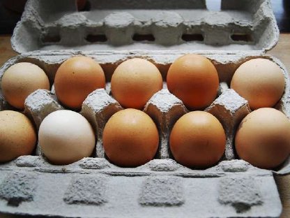 Frische Eier 10 Stück 2,50
