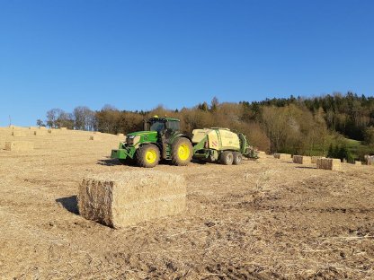 Bild 2:Miscanthus-Ernte