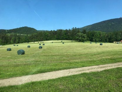 Bild 2:Siloballen Top-Qualität