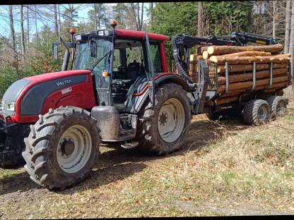 Bild 2:Holzschlägerung und Bringung
