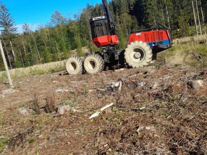 Holzschlägerung und Bringung