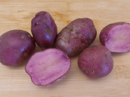 ROTFLEISCHIGE Bio-Kartoffel "Mulberry Beauty"