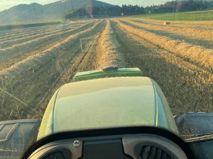 Bild 3:Biete Ballenpressen/Ballenwickeln an