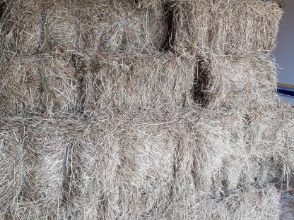 Bild 2:Heu Kleinballen, 1. Schnitt 2025