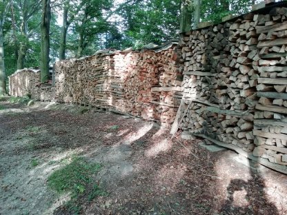 Bild 2:Brennholz