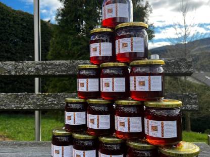 Bild 2:Waldhonig aus dem Lavanttal