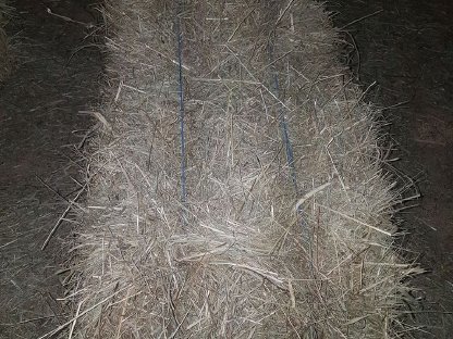 Bild 3:Heukleinballen