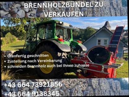 Brennholz