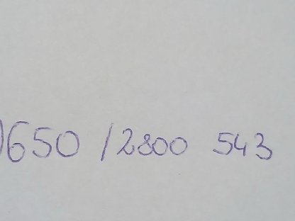 Bild 9:Zwergkaninchen, Hase, Zwerghase