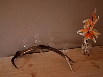 Bild 2:Hirschgeweih mit 4 Schnapsgläsern, urig